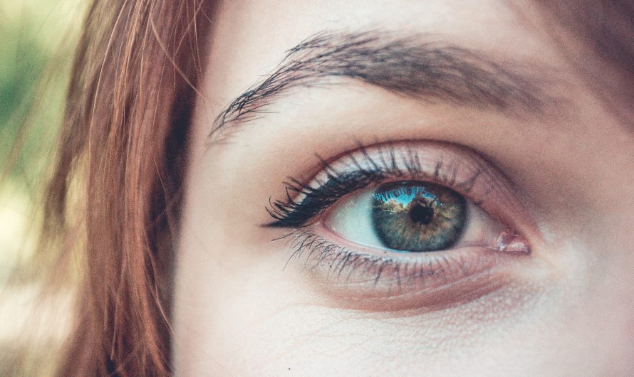 The Ultimate Guide to Brows: How to Shape, Fill, and Define Them