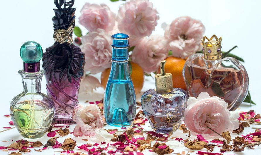 The Best Perfumes for Men and Women and How to Choose the Right One for Your Partner