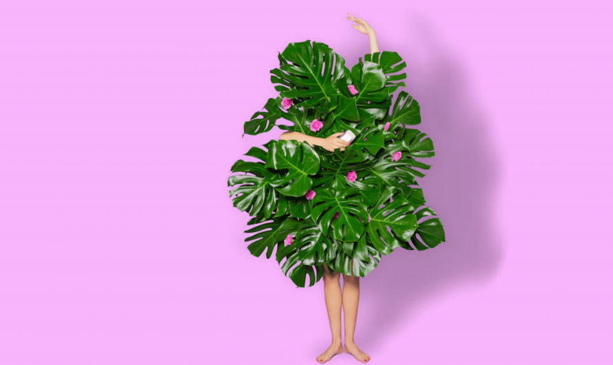 Wild vs. Schmidt’s: Which Brand is More Gentle and Safe for Sensitive Skin?